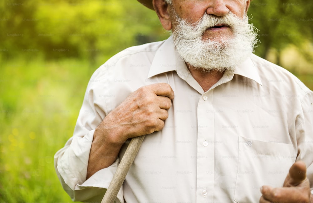 Viejo granjero con barba trabajando con rastrillo en el jardín