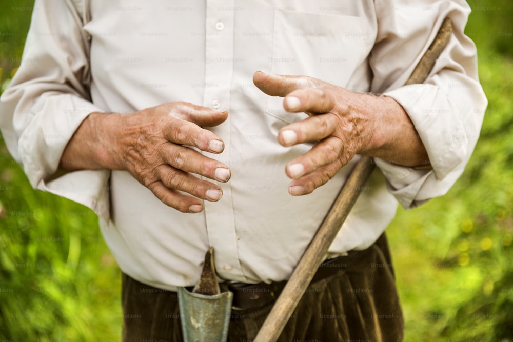 Old farmer with beard working with rake in garden