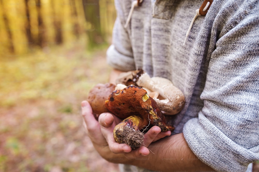 Young man picking mushrooms in autumn forest