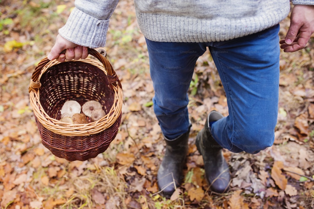 Young man picking mushrooms in autumn forest