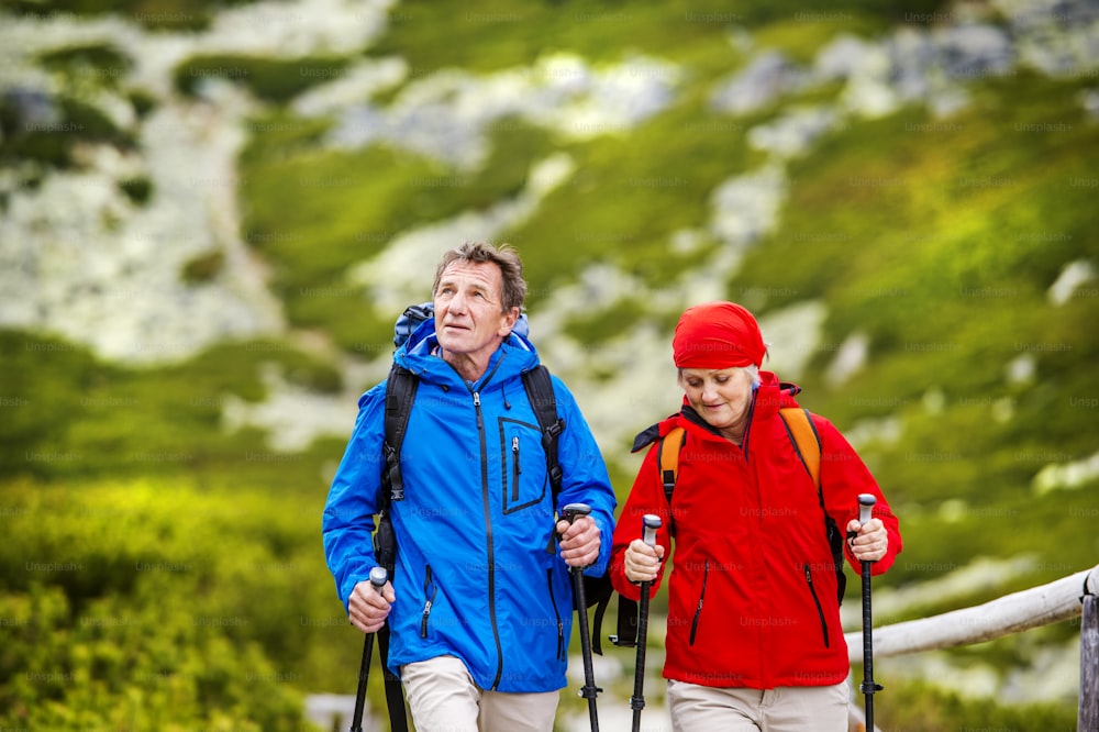 Senior tourist couple hiking at the beautiful mountains