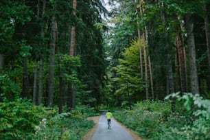 古い緑の森の中の小道をトレイルランのために走り、運動する男性。