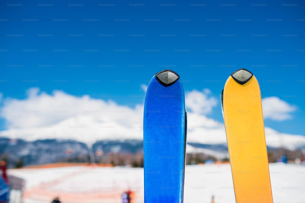 겨울 자연에서 두 쌍의 스키 클로즈업