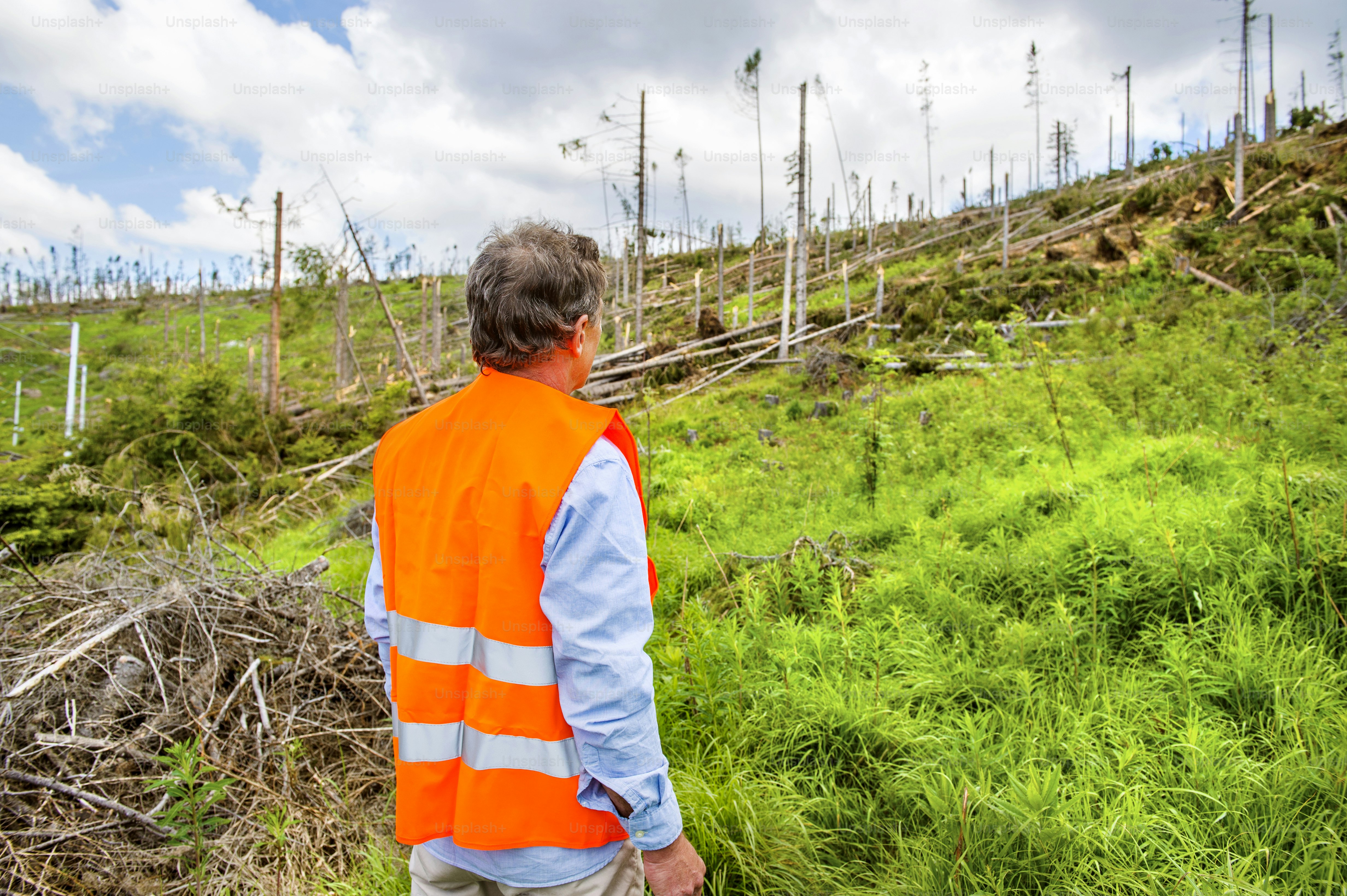 Rescue worker at destroyed forest as an effect of strong storm in High Tatras, Slovakia