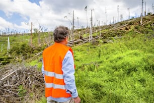 Rescue worker at destroyed forest as an effect of strong storm in High Tatras, Slovakia