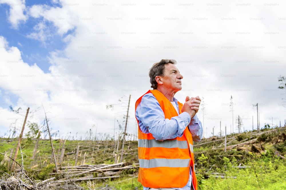 Rescue worker at destroyed forest as an effect of strong storm in High Tatras, Slovakia