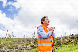 Rescue worker at destroyed forest as an effect of strong storm in High Tatras, Slovakia