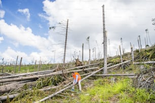 Soccorritore in una foresta distrutta a causa di una forte tempesta negli Alti Tatra, Slovacchia