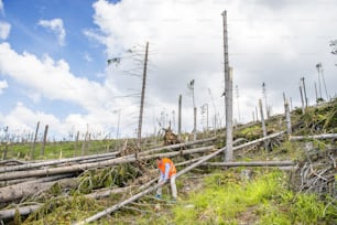 Rescue worker at destroyed forest as an effect of strong storm in High Tatras, Slovakia