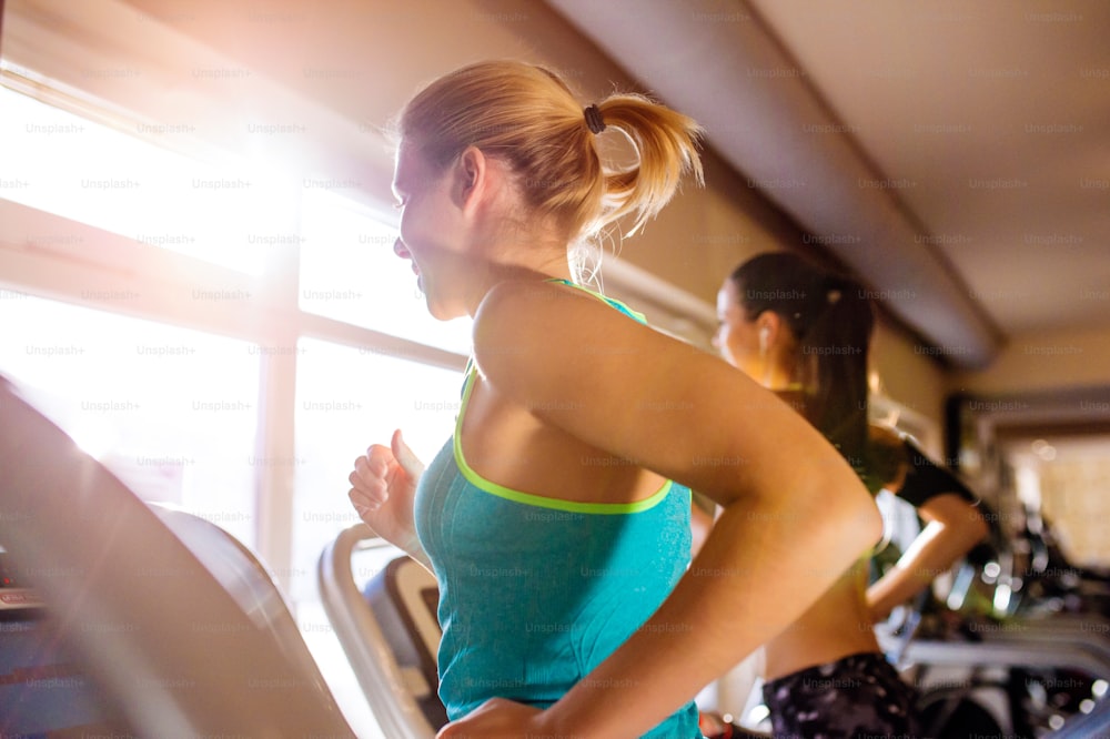 Two attractive fit women running in sports clothes on treadmills in modern gym, sunny day, back view, rear viewpoint