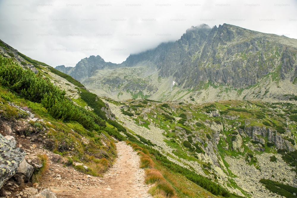 Weg zu den Bergen. Bewölkte Hohe Tatra, Slowakei, regnerischer Nebeltag, Schöne Berglandschaft.