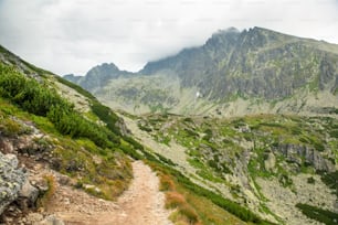 山への道。曇りの高タトラ、スロバキア、雨の霧の日、美しい山の風景。