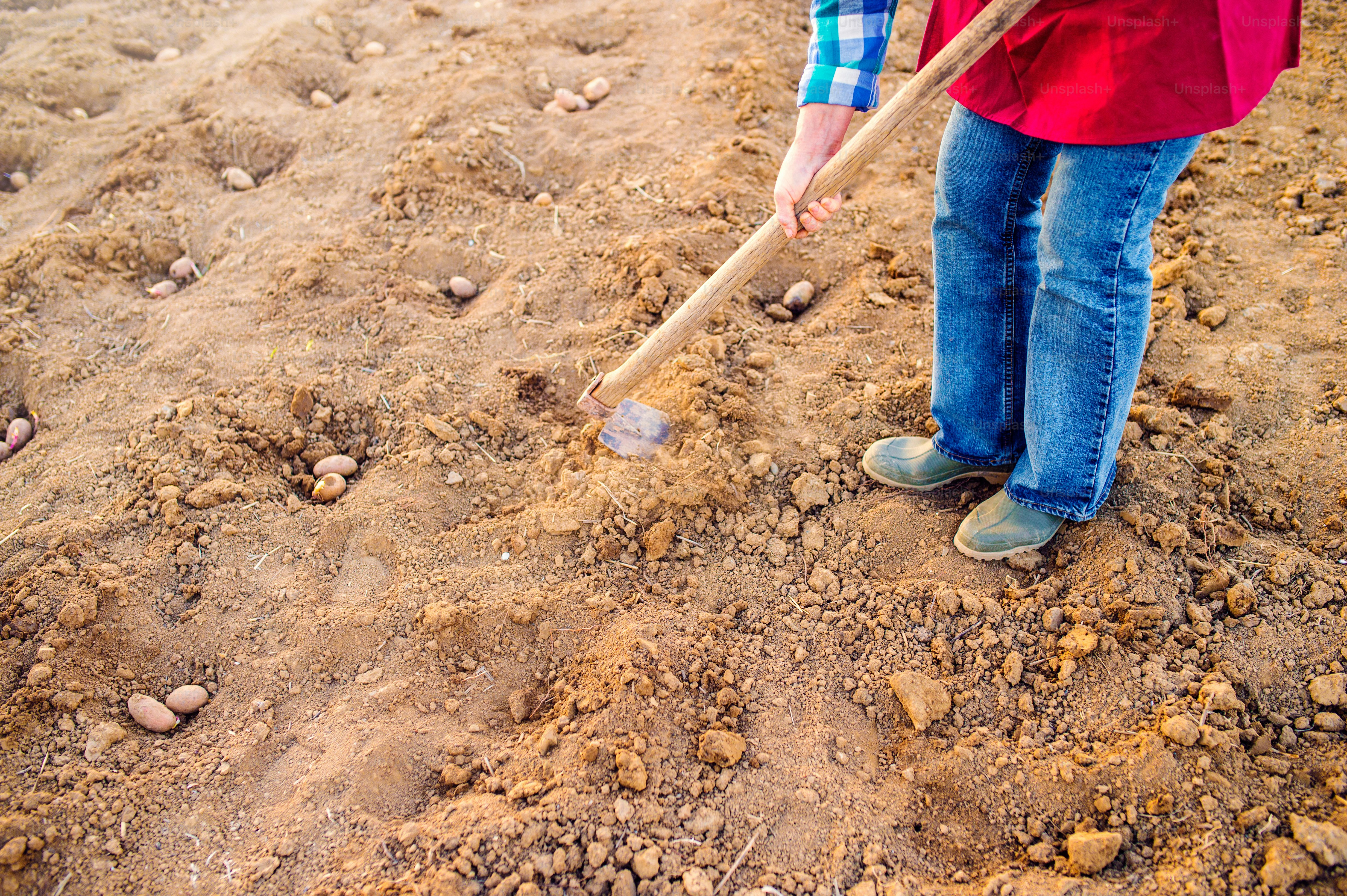 10 Soil Conditions That Affect Residential Excavation in New York