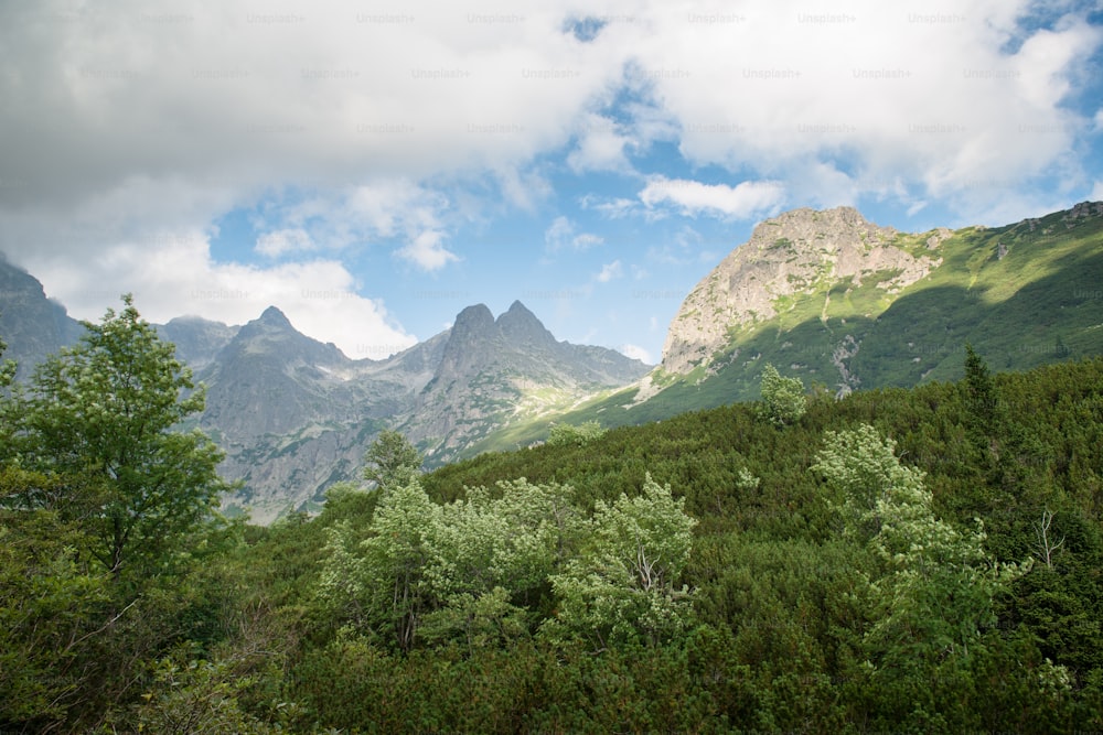 Foggy and cloudy mountains after rain, day with showers, High Tatras Slovakia.  Beautiful mountain landscape.