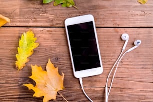 Composição de outono. Close up de folhas coloridas de carvalho e bordo e telefone inteligente branco com fones de ouvido. Estúdio filmado em fundo de madeira, flat lay.