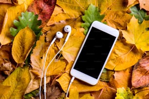 가을 구성. 화려한 참나무, 단풍나무, 자작나무, 너도밤나무 잎과 이어폰이 있는 흰색 스마트폰을 닫습니다. 스튜디오 촬영, 플랫 레이.