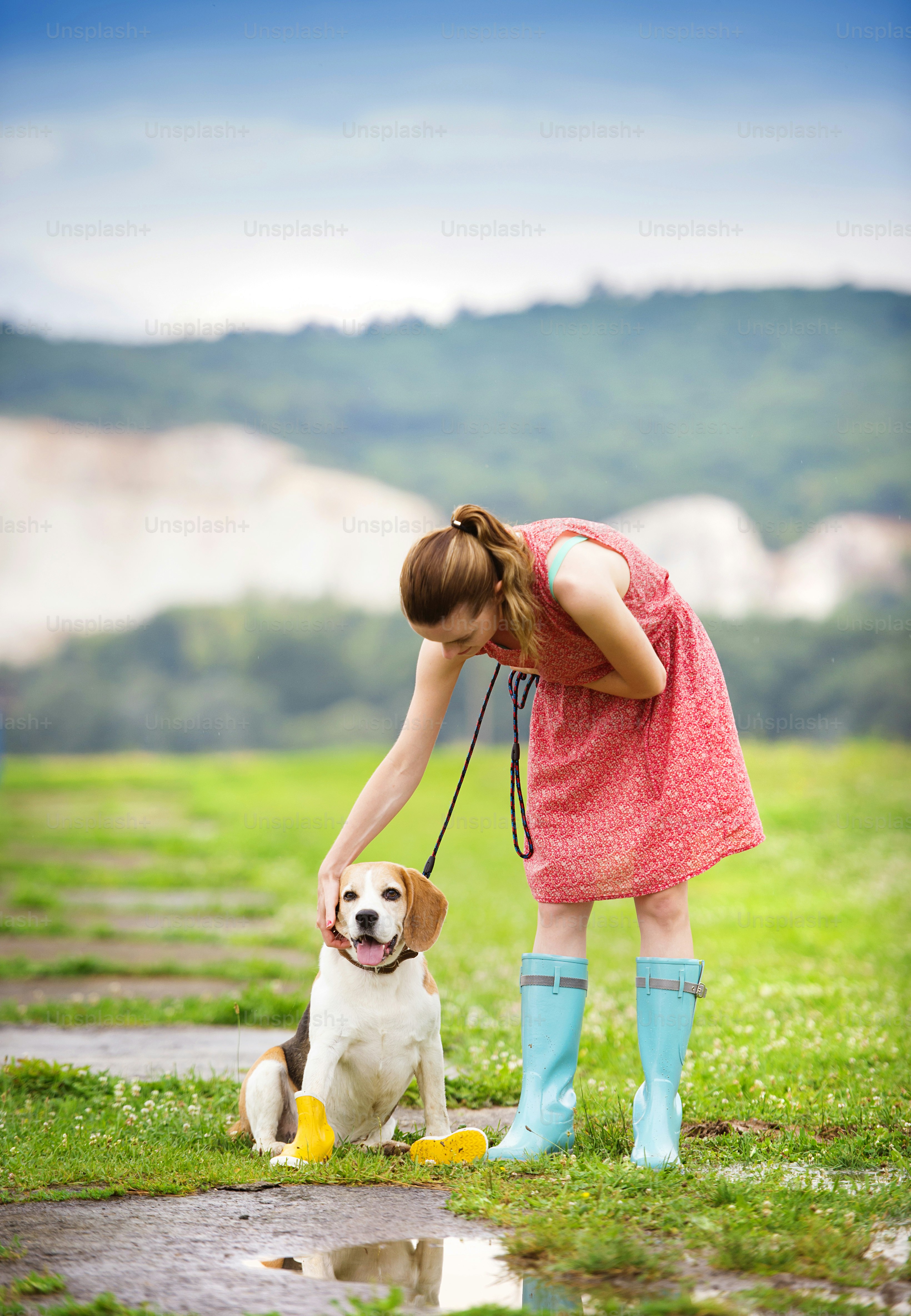 Young woman in dress and turquoise wellies walk her beagle dog in a park