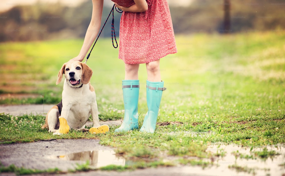 Giovane donna in vestito e stivali di gomma turchesi che cammina con il suo cane beagle in un parco