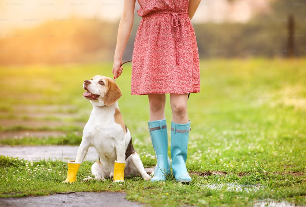 Giovane donna in vestito e stivali di gomma turchesi che cammina con il suo cane beagle in un parco