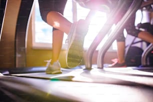 Close up of legs of two women running on treadmills in a gym, sunny day