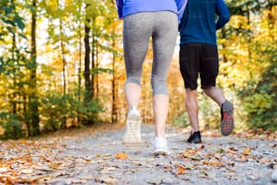 Close up, legs of runners jogging together outside in sunny autumn forest. Back view.