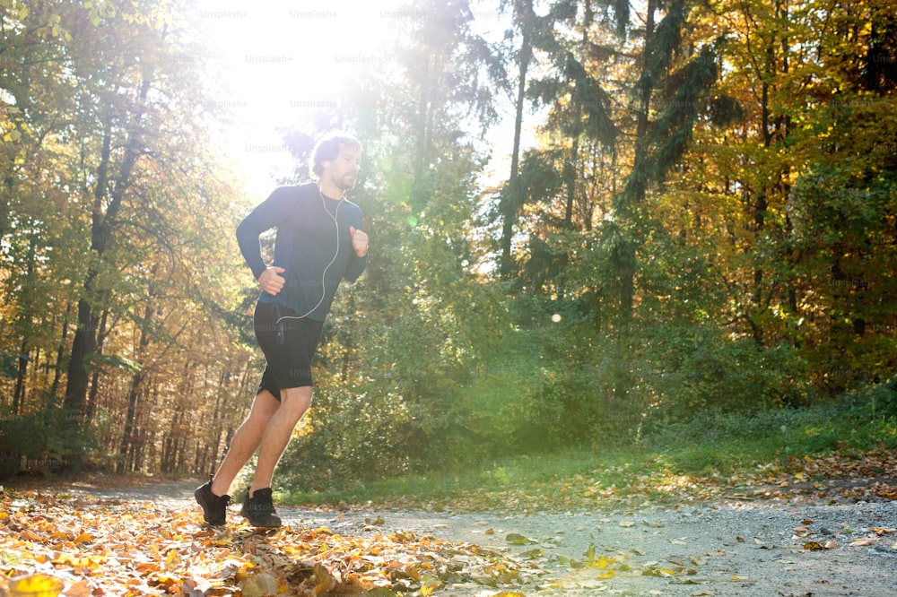 Young handsome runner with earphones in his ears, listening music, outside in sunny autumn nature