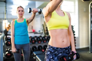 Two attractive fit women in gym working out with weights