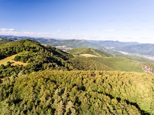 Vista aérea del bosque, la pradera y el pueblo con casas durante el día de verano. Eslovaquia, Nova Bana.