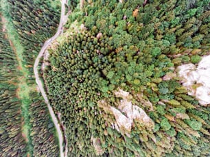 Vista aérea de uma estrada no meio da floresta de coníferas, colinas rochosas. Mala Fatra, Eslováquia.