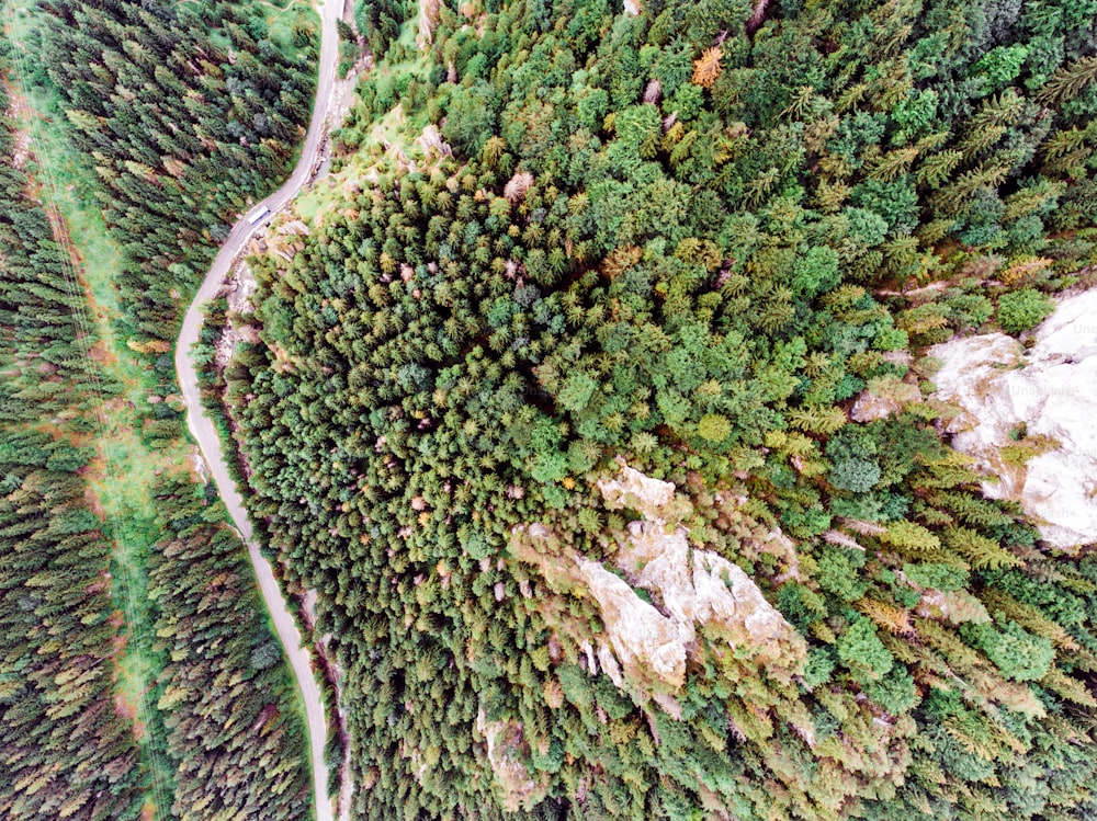 Veduta aerea di una strada in mezzo a una foresta di conifere, colline rocciose. Mala Fatra, Slovacchia.