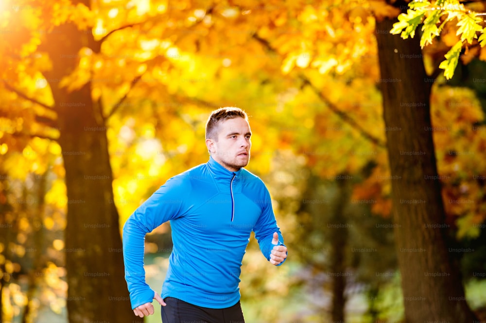 푸른 스웨트셔츠를 입은 젊은 잘생긴 힙스터 운동선수가 화려한 화창한 가을 자연 속에서 밖에 뛰고 있다