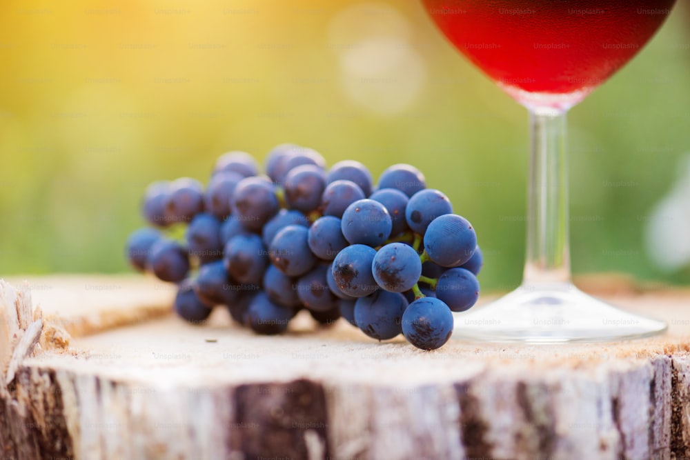 Copa de vino tinto y racimo de uvas azules colocadas sobre un tocón de madera