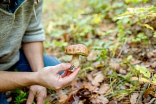 Nicht wiederzuerkennender junger Mann sammelt Pilze im Herbstwald, hält ihn in der Hand, Nahaufnahme