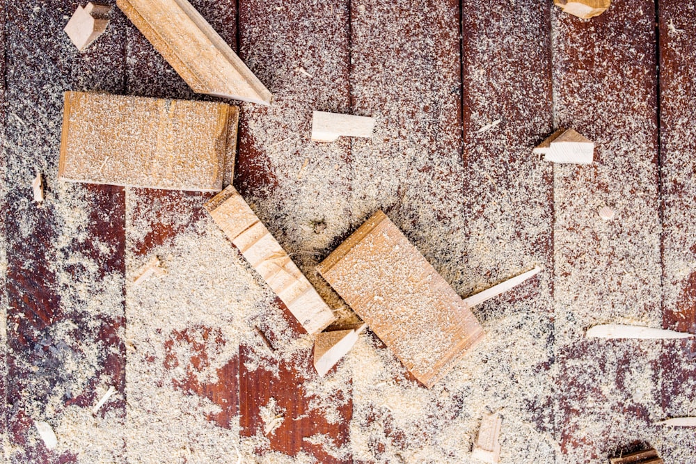 Close up of cutters of wood lying among sawdust, wooden bricks, wood chips. Studio shot, workshop floor background.