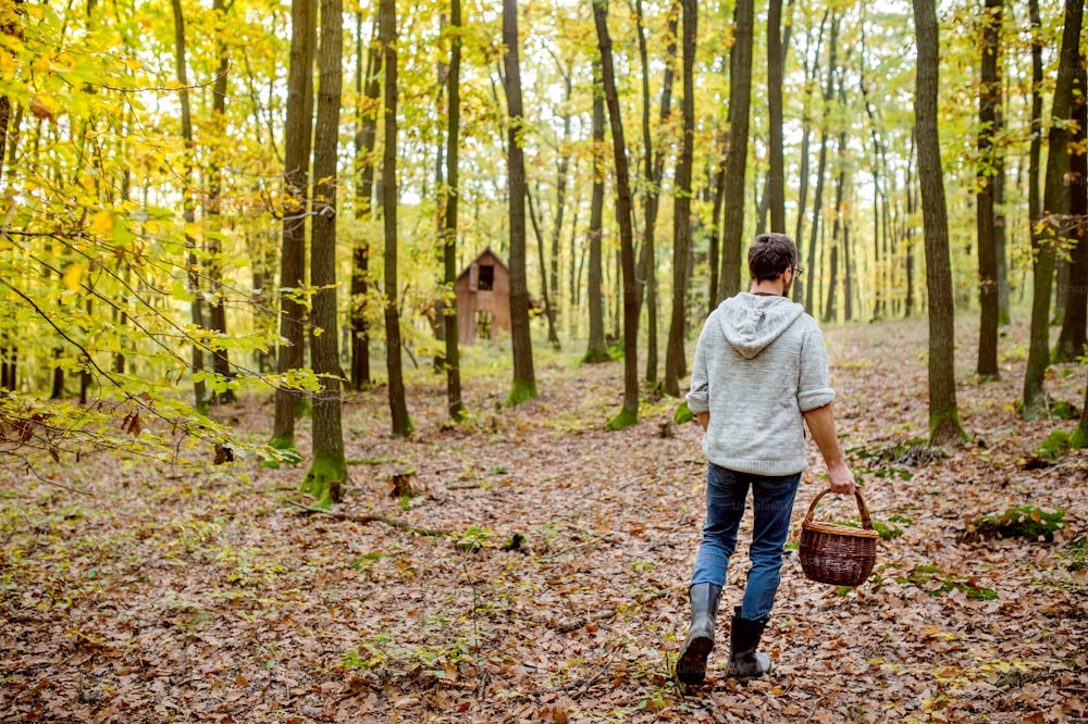 Young man with basket picking mushrooms in autumn forest, rear view