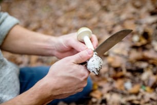 Homme méconnaissable dans une forêt d’automne tenant un mushoom dans ses mains, le nettoyant avec un couteau