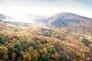 Montanhas na Eslováquia: Bela paisagem no outono. Floresta decídua colorida.