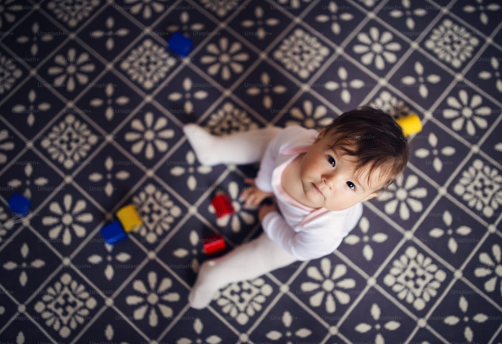 Cute little baby girl playing with toys on a carpet in a living room.