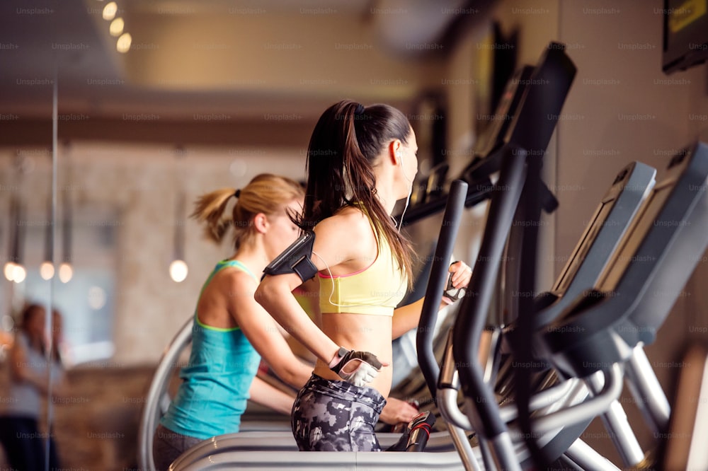 Two attractive fit women running in sports clothes on treadmills in modern gym