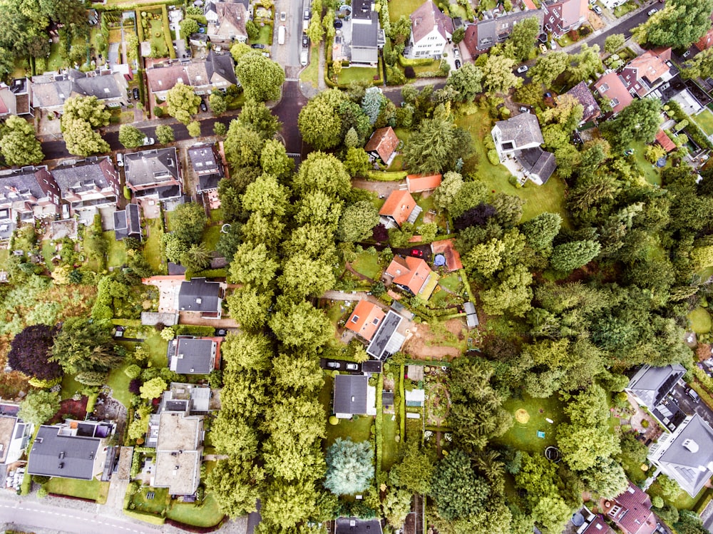 Aerial view of Dutch town, houses with gardens, green park with trees