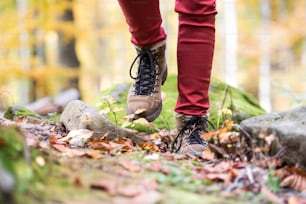 Nahaufnahme der Beine einer nicht erkennbaren Frau im Herbst Naturwanderung von Felsen bedeckt mit grünem Moos. Wanderschuhe.
