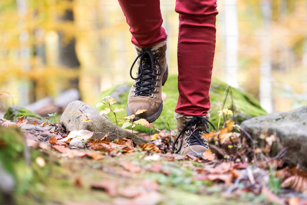 Close up of legs of unrecognizable woman in autumn nature walking from rock covered with green moss. Hiking shoes.