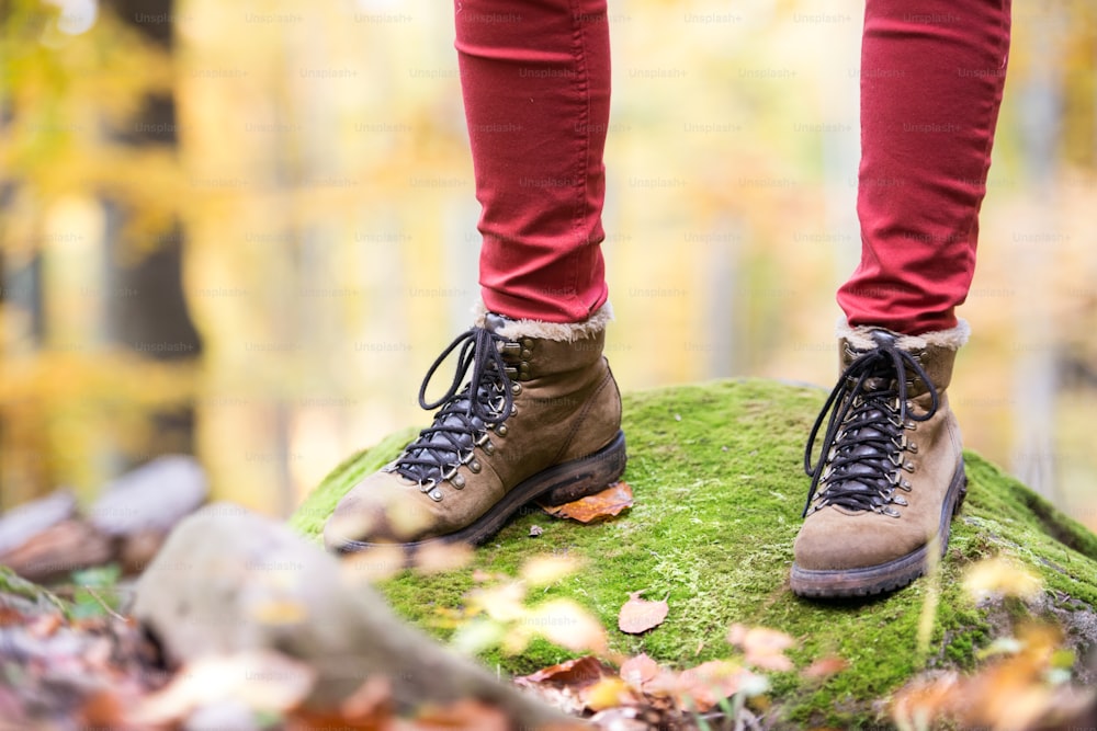 Close up of legs of unrecognizable woman in autumn nature standing on a rock covered with green moss. Hiking shoes.