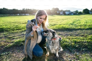 Unrecognizable young pregnant woman on a walk with a dog, feeding him. Green sunny nature