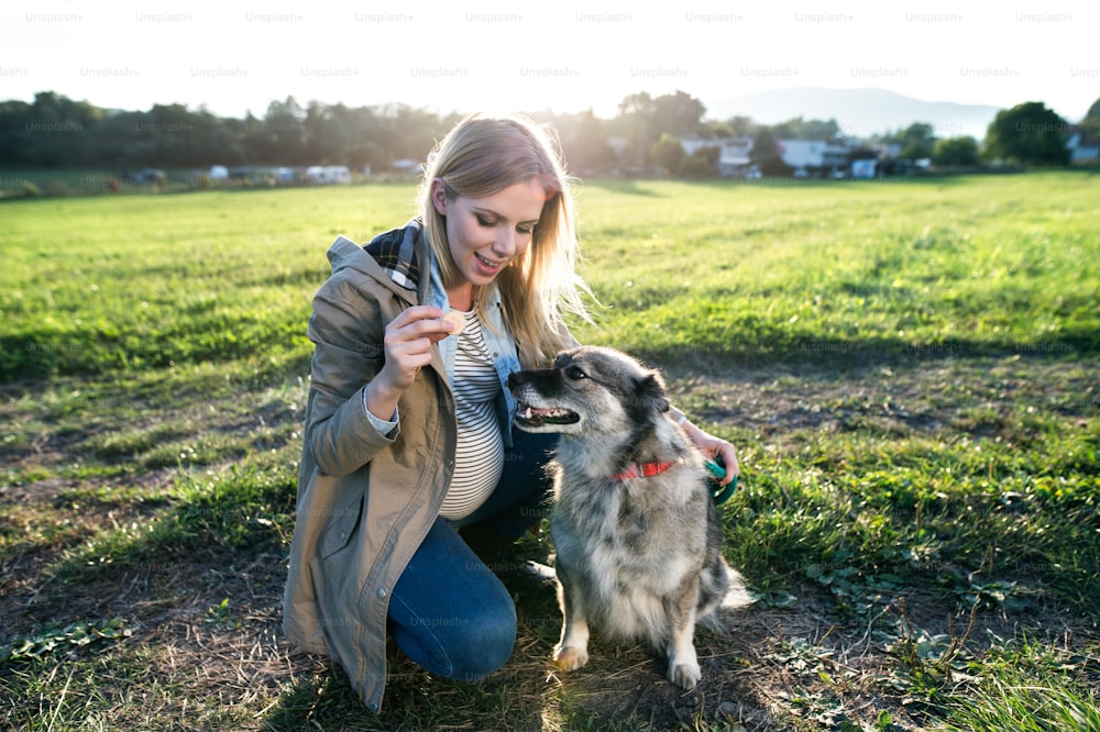 Giovane donna incinta irriconoscibile durante una passeggiata con un cane, che gli dà da mangiare. Natura verde e soleggiata