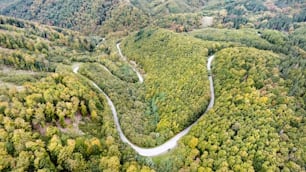 Vista aérea de un camino con curvas en medio de un bosque verde, colinas bajas. Nova Bana, Eslovaquia.