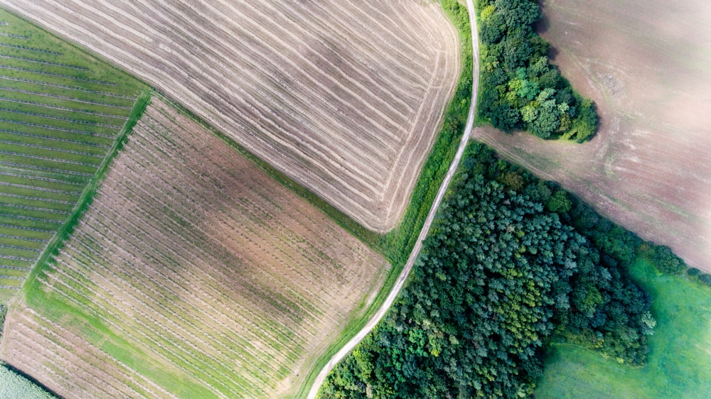 Verde naturaleza veraniega. Vista aérea de campos y pastizales.