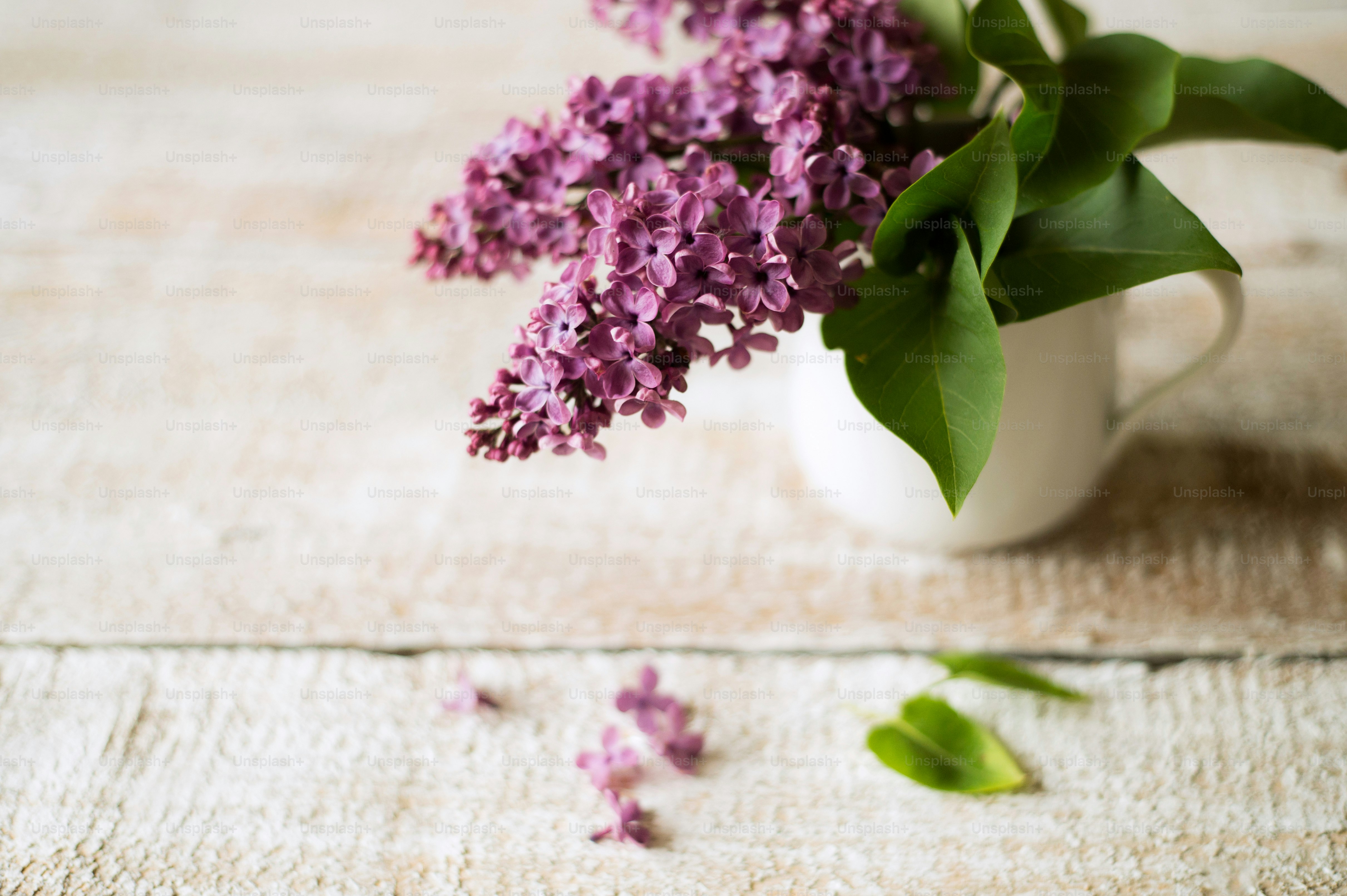 8 Herbal Remedies to Add to Your Weekly Wellness Journal