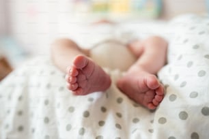 Close up, legs of unrecognizable newborn baby boy lying in bed, sleeping.