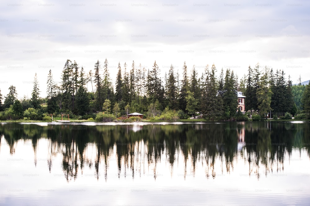 Lake and coniferous trees, National park Vysoke Tatry, Slovakia. Summer nature.